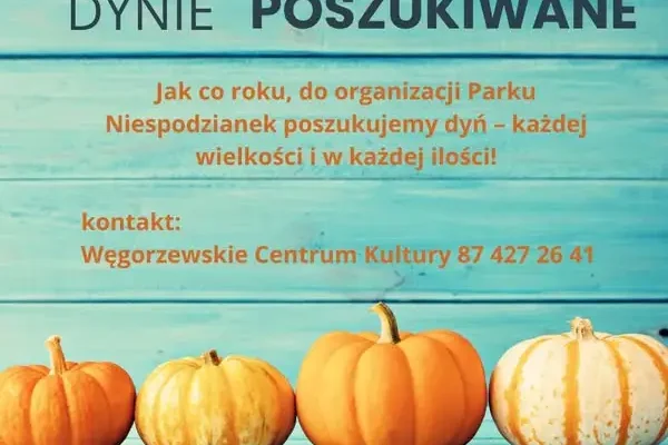 Węgorzewo szuka dyń na Park Niespodzianek 2026