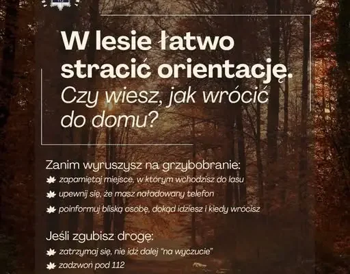 76-latka zgubiła się w lesie podczas grzybobrania. Znalazł ją policyjny śmigłowiec
