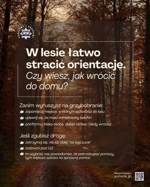 76-latka zgubiła się w lesie podczas grzybobrania. Znalazł ją policyjny śmigłowiec