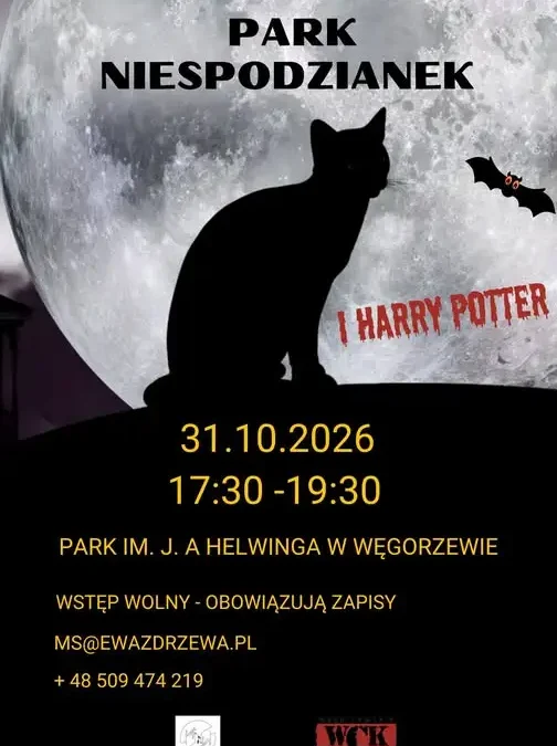 Park Niespodzianek w Węgorzewie: magiczny wieczór w świecie Harry’ego Pottera